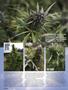 Page: - 48 | High Times