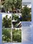 Page: - 50 | High Times