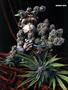 Page: - 59 | High Times