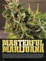 Page: - 64 | High Times