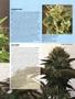 Page: - 65 | High Times
