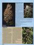 Page: - 66 | High Times