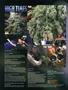 Page: - 8 | High Times