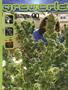 Page: - 81 | High Times