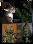 Page: - 84 | High Times