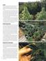 Page: - 91 | High Times