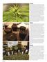 Page: - 92 | High Times