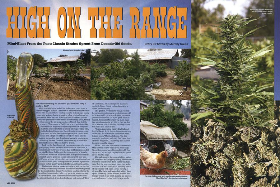 HIGH ON THE RANGE