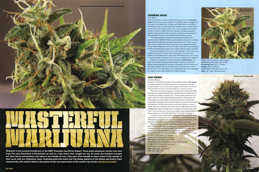 MASTERFUL MARIJUANA