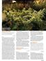 Page: - 101 | High Times