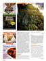 Page: - 104 | High Times