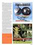 Page: - 105 | High Times
