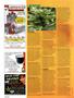 Page: - 106 | High Times