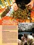Page: - 45 | High Times