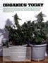Page: - 52 | High Times