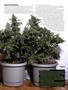 Page: - 53 | High Times