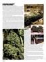 Page: - 56 | High Times