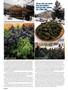Page: - 66 | High Times