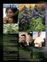 Page: - 8 | High Times