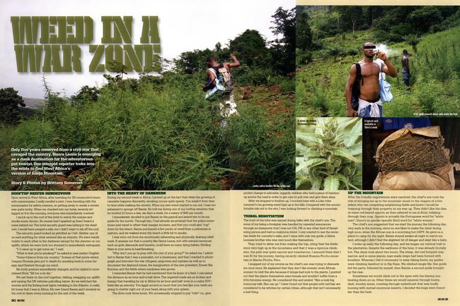 WEED IN A WAR ZONE