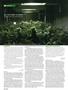 Page: - 100 | High Times