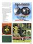 Page: - 105 | High Times
