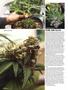 Page: - 56 | High Times