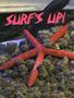 Page: - 60 | High Times
