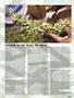 Page: - 63 | High Times
