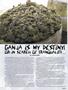 Page: - 75 | High Times