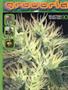 Page: - 81 | High Times