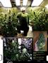 Page: - 83 | High Times