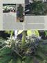 Page: - 91 | High Times