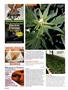Page: - 104 | High Times