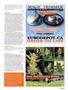 Page: - 105 | High Times