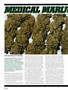 Page: - 38 | High Times