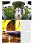Page: - 66 | High Times