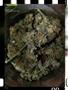 Page: - 82 | High Times