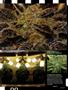 Page: - 83 | High Times