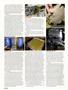 Page: - 92 | High Times