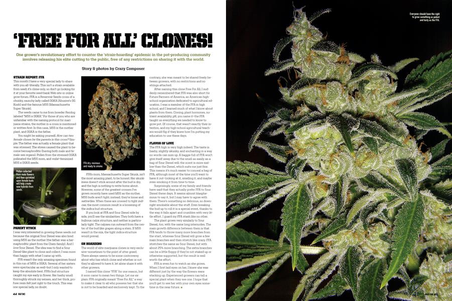 'FREE FOR ALL'CLONES!