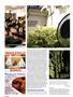 Page: - 104 | High Times