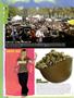 Page: - 12 | High Times
