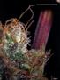Page: - 45 | High Times