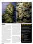 Page: - 46 | High Times