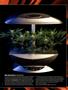 Page: - 57 | High Times