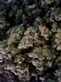 Page: - 61 | High Times