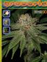 Page: - 81 | High Times