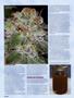 Page: - 92 | High Times