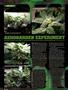 Page: - 96 | High Times